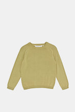 Load image into Gallery viewer, بلوفر سادة باللون الأخضر للأولاد حديثي الولادة