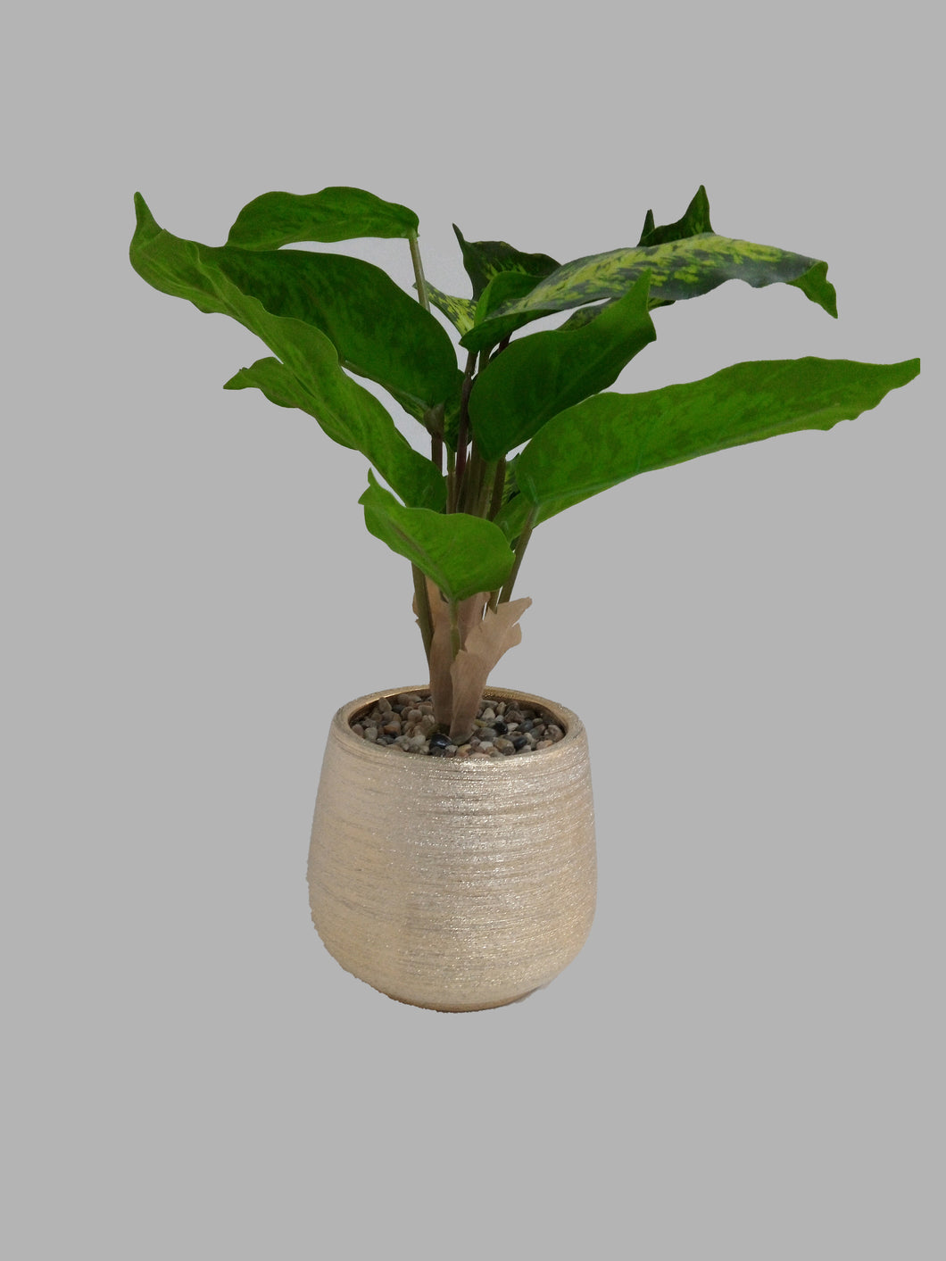 Artificial Plant in Ceramic Pot  نبات اصطناعي في وعاء سيراميك باللون الذهبي