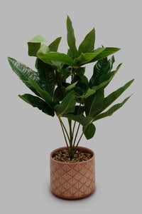 Artificial Plant in Ceramic Pot نبات اصطناعي بي وعاء سيراميك