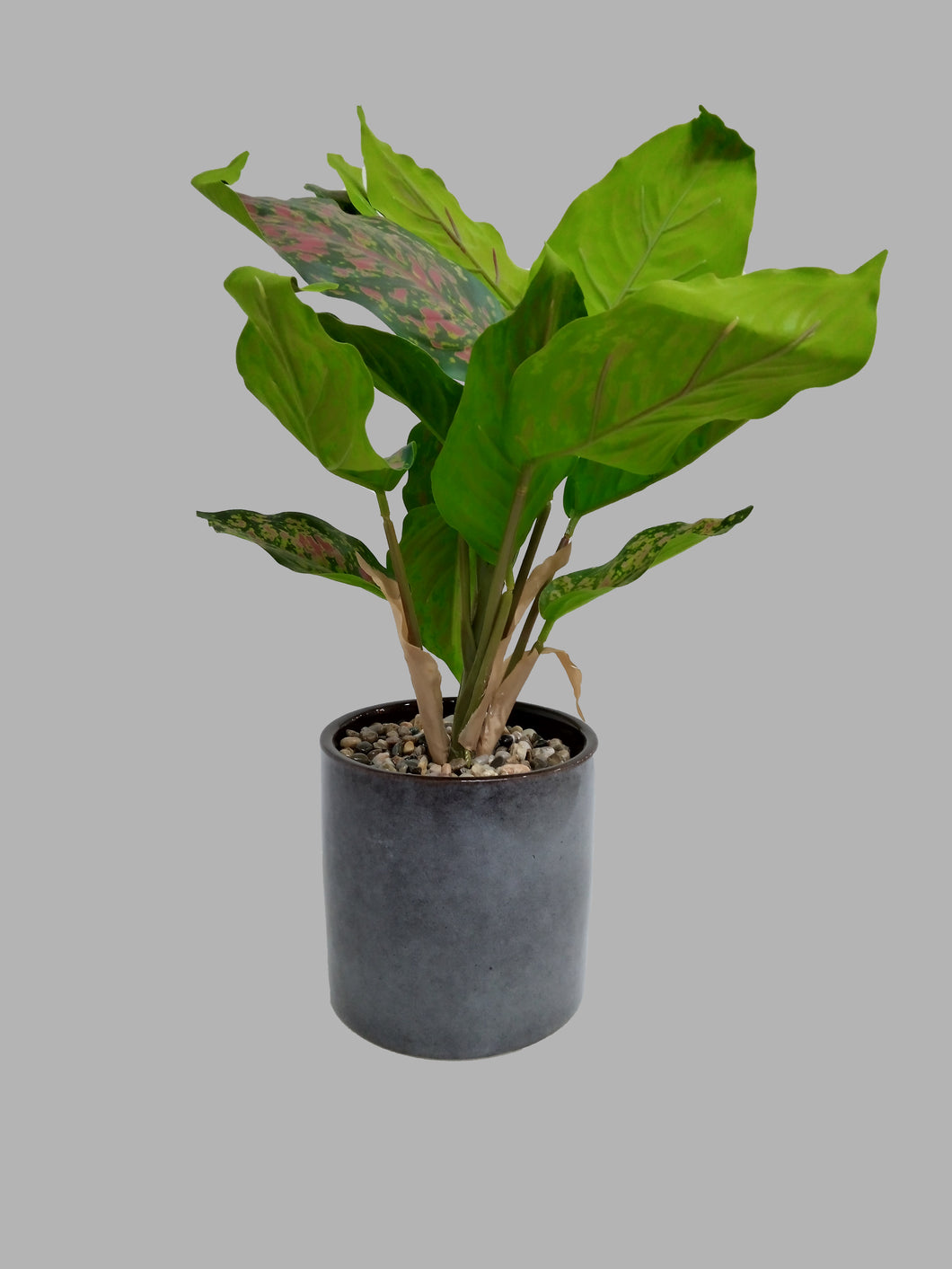 Artificial Plant in Ceramic Pot نبات اصطناعي في وعاء سيراميك باللون الرمادي